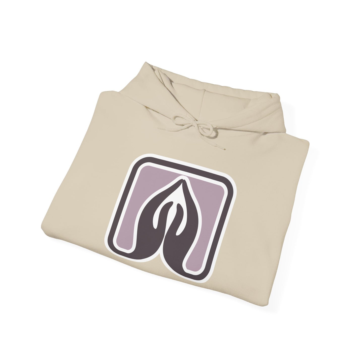 Praisenlight Heavy Blend™ Hooded Sweatshirt - Unisex