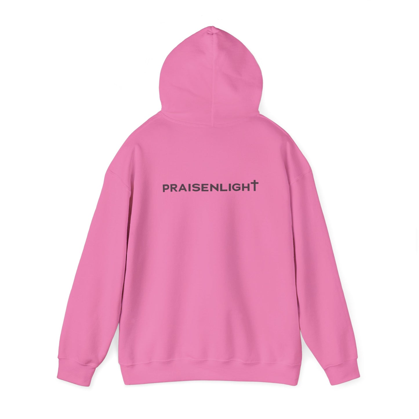 Praisenlight Heavy Blend™ Hooded Sweatshirt - Unisex