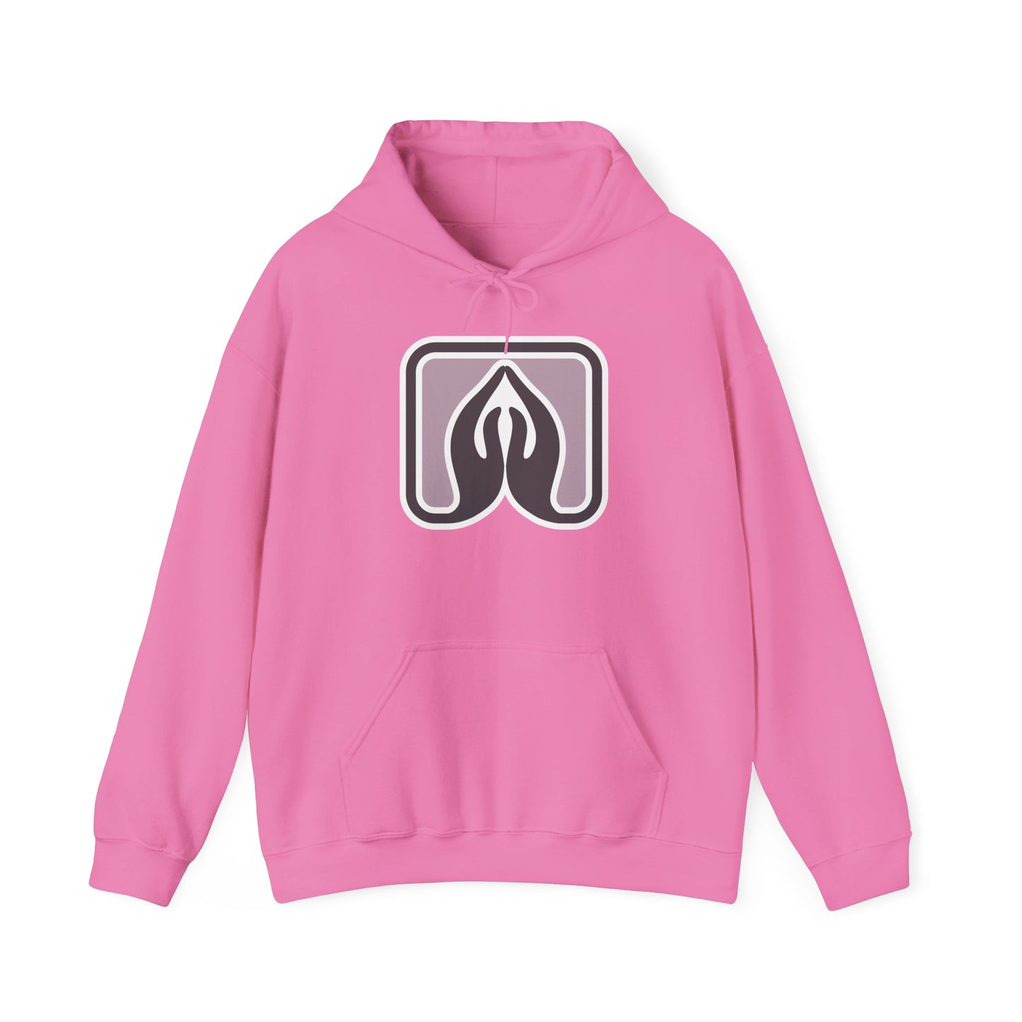 Praisenlight Heavy Blend™ Hooded Sweatshirt - Unisex