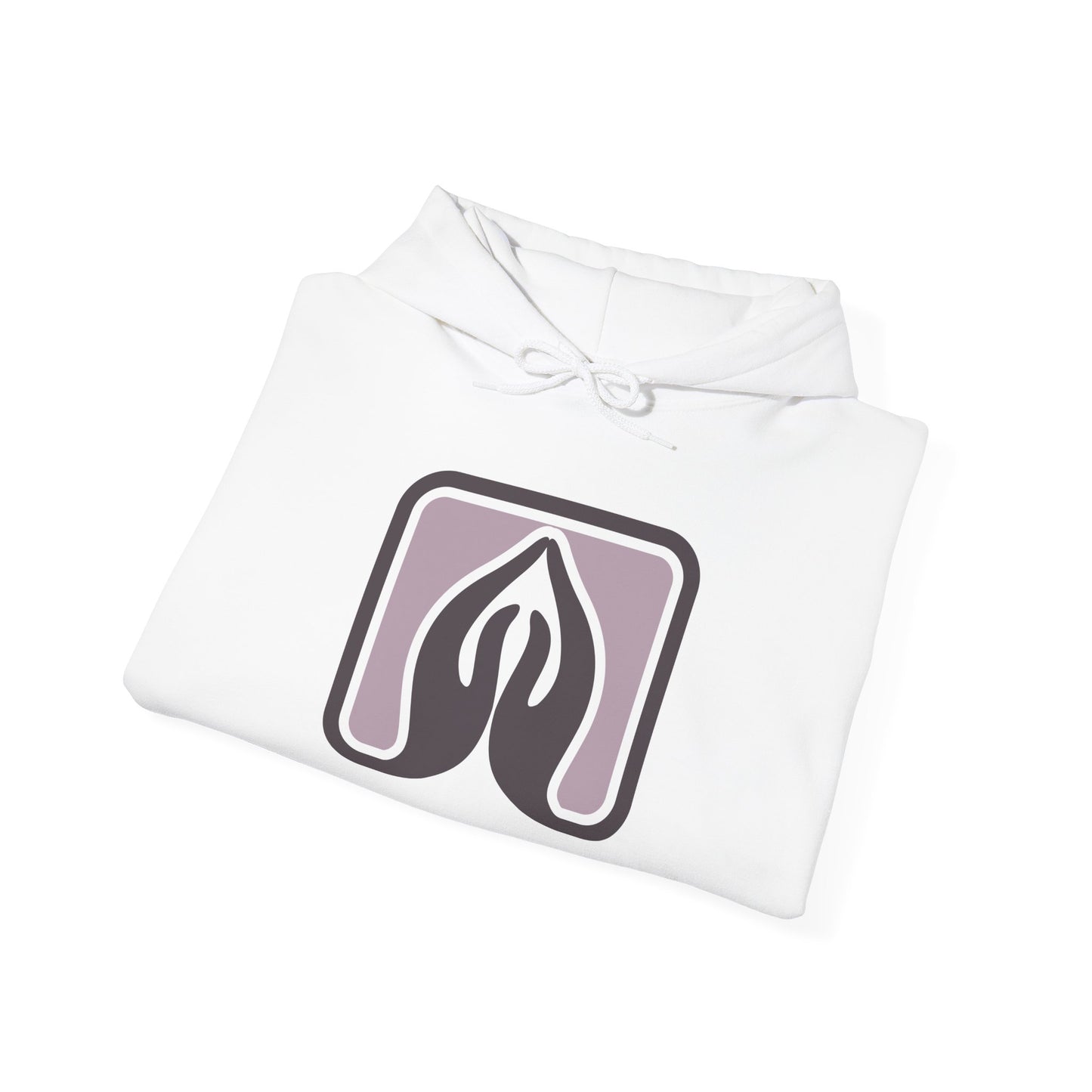 Praisenlight Heavy Blend™ Hooded Sweatshirt - Unisex