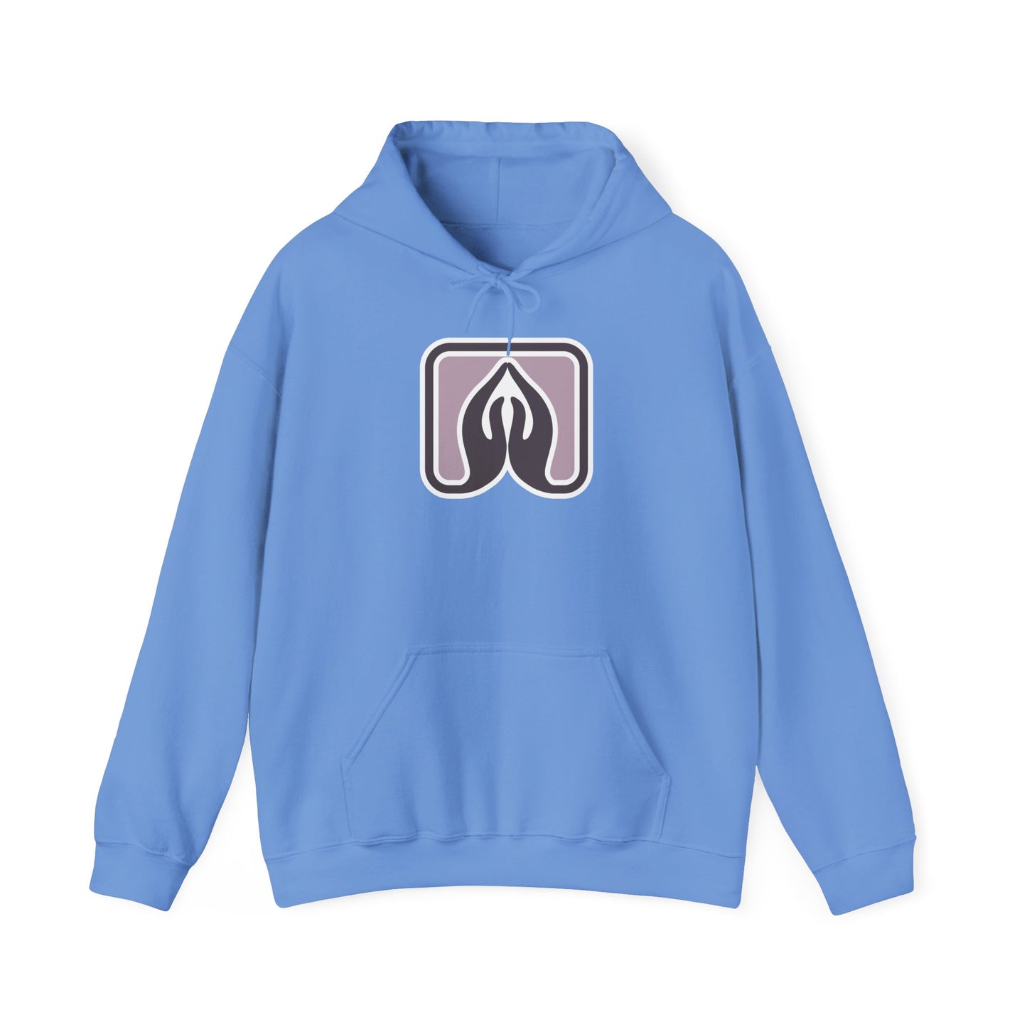 Praisenlight Heavy Blend™ Hooded Sweatshirt - Unisex